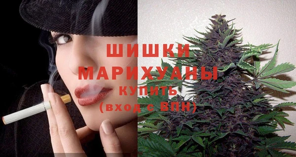 spice Осинники