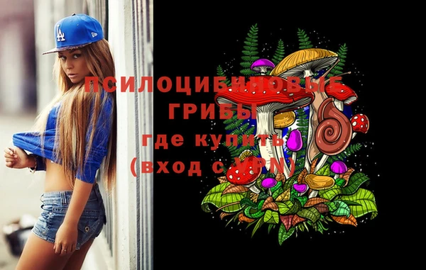 spice Осинники