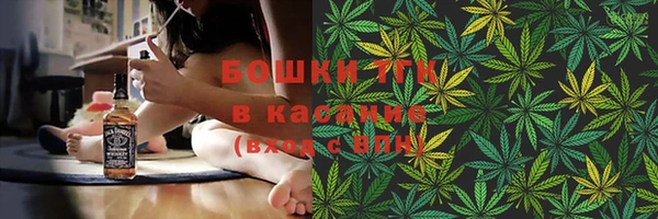 spice Осинники