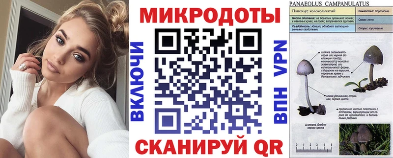 Галлюциногенные грибы MAGIC MUSHROOMS  закладки  Киреевск 