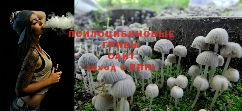 хочу   Киреевск  Галлюциногенные грибы MAGIC MUSHROOMS 