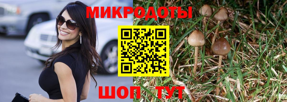 Галлюциногенные грибы Magic Shrooms  цены   Киреевск  Вход с VPN 
