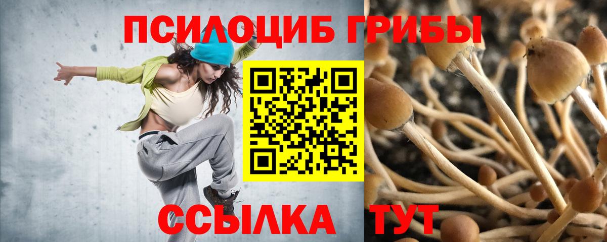 Галлюциногенные грибы GOLDEN TEACHER Киреевск